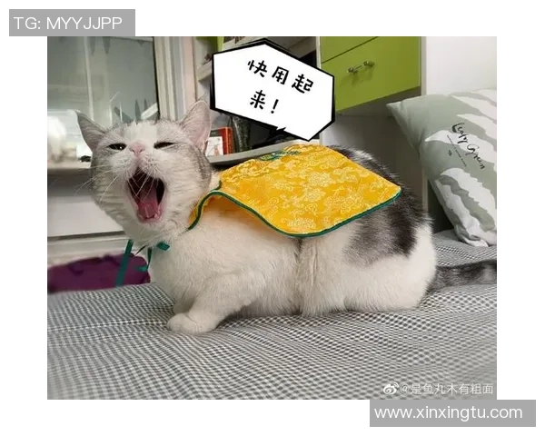 吃货狗子的自我拉扯：在美食与自律之间的挣扎与成长