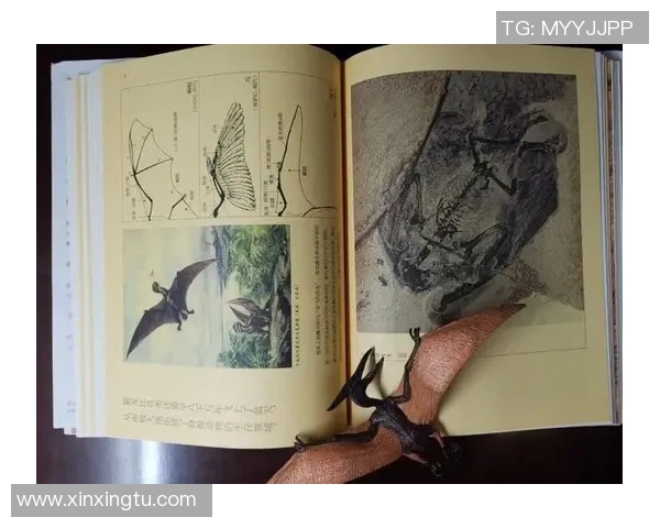 全球城市化进程中大城市病的成因与解决策略探讨